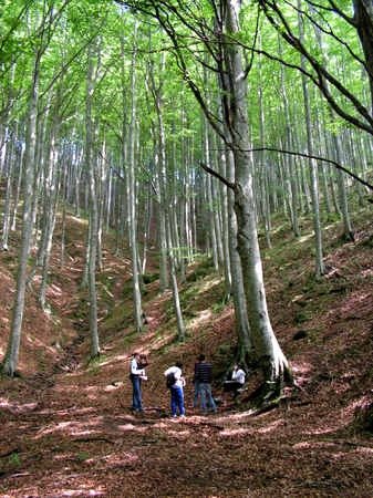 09.Il questionario nel bosco