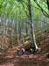09.Il questionario nel bosco
