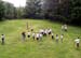 10.Basket1