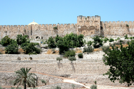 13.porta bella